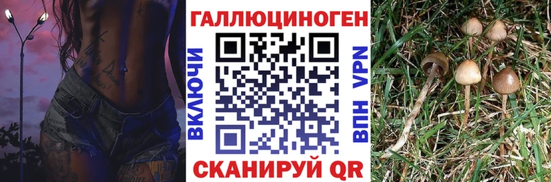 наркота  Микунь  Галлюциногенные грибы ЛСД 